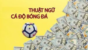 thuật ngữ cá độ bóng đá